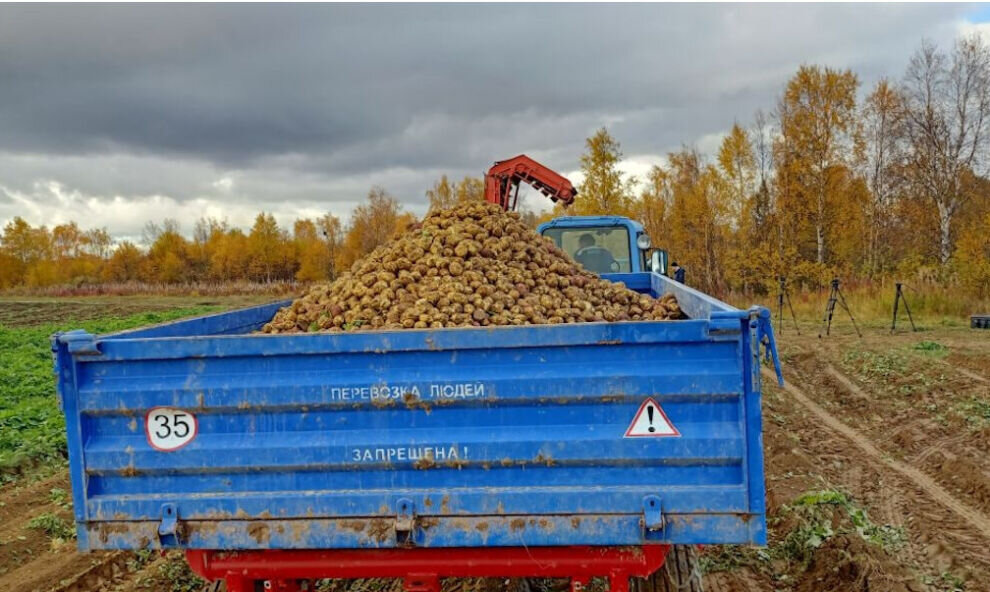    Трое жителей Ямала на гранты «Агростартапа» разведут раков, картофель и грибы