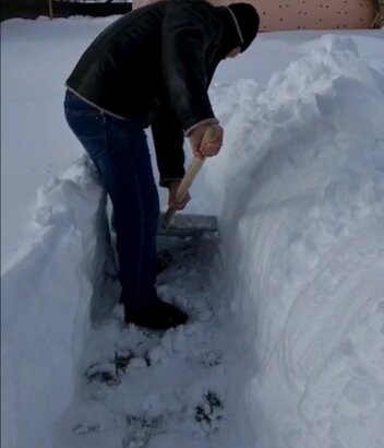 фото из личного архива