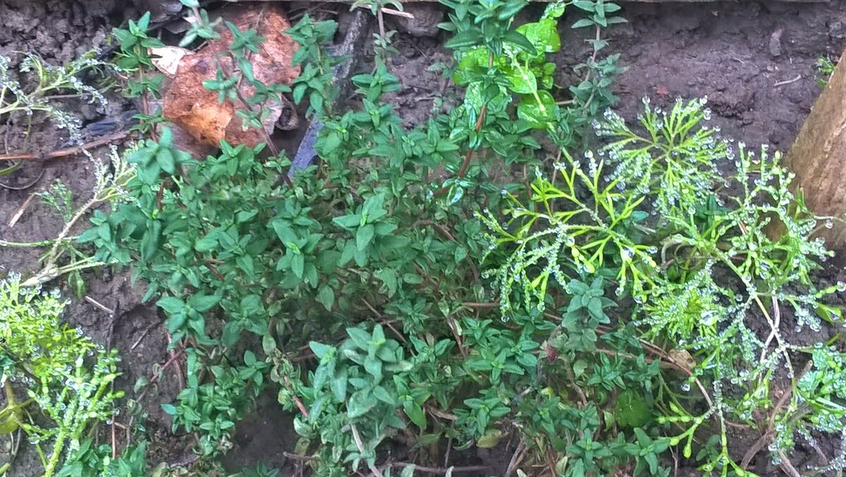 На новом месте, 28.11.2022 