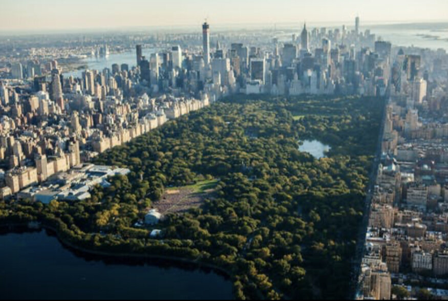 https://www.yoair.com/blog/understanding-urban-ecosystems-as-a-conceptual-relationship-between-humans-and-the-environment/  