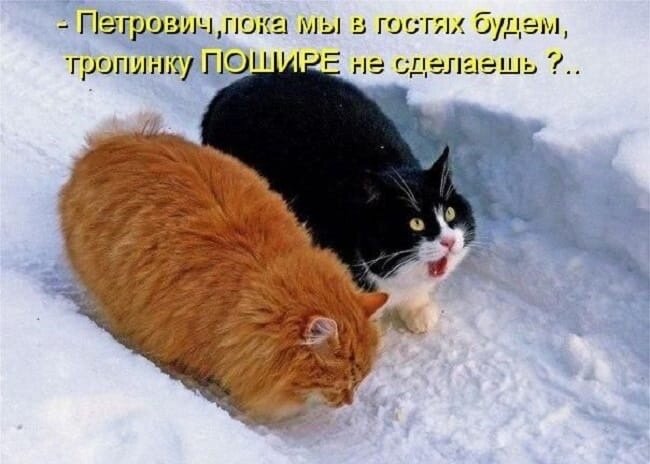 иллюстрация из яндекс картинки