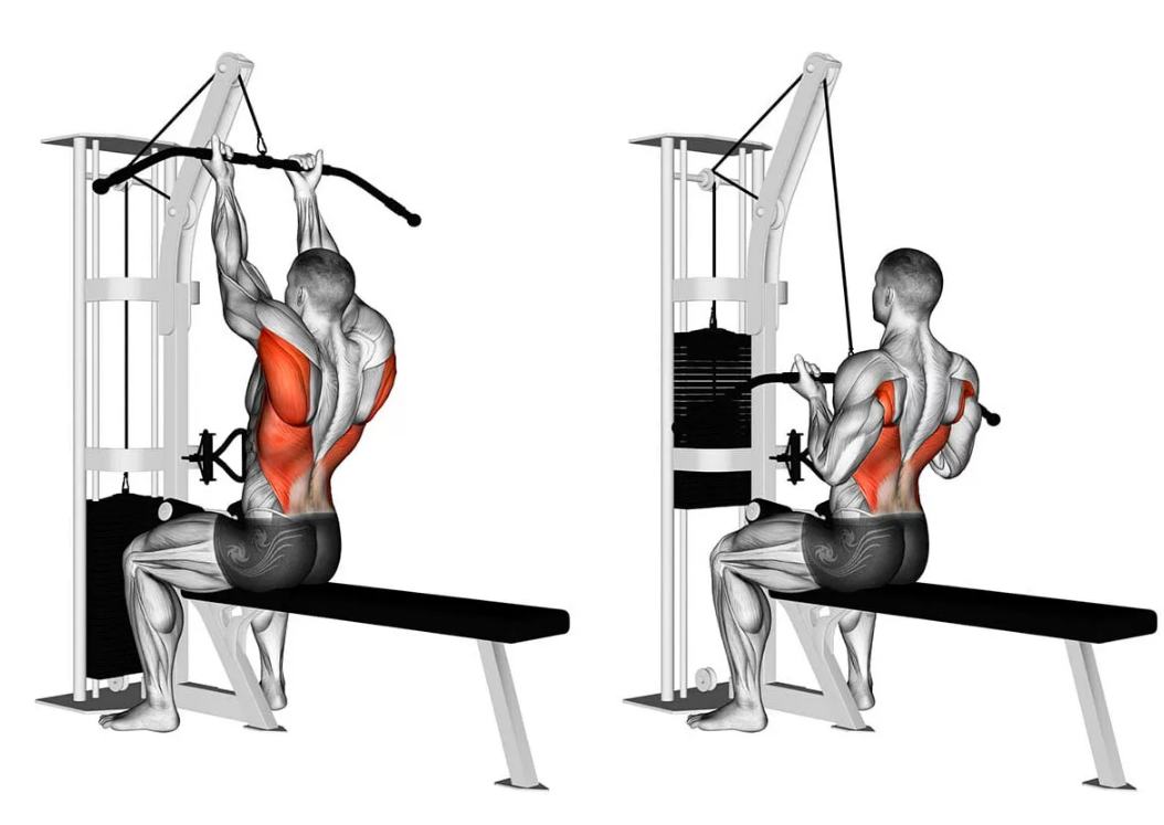 Тренажеры для спины в тренажерном зале для мужчин