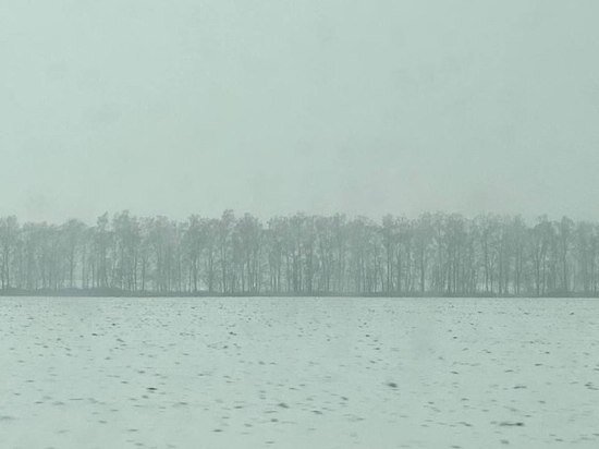     фото: МК в Туле