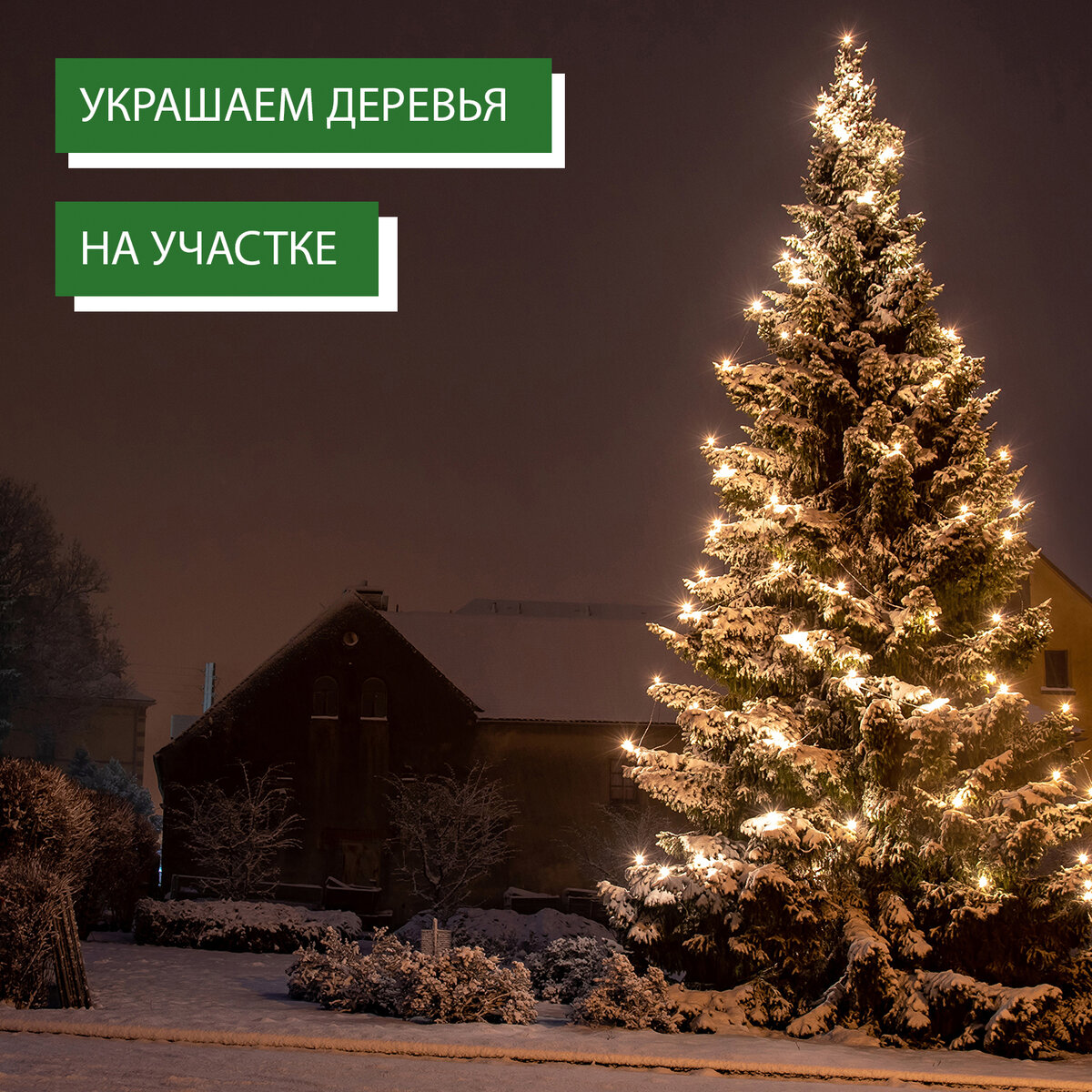 🎄 Новогодняя елка? Или что-то интереснее? | Ask Home | Дзен