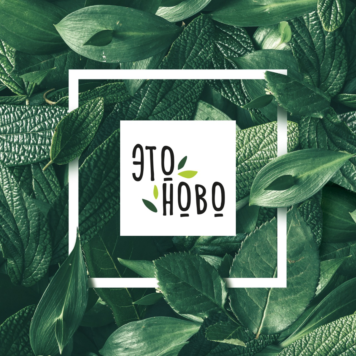 Логотип ЭТОНОВО