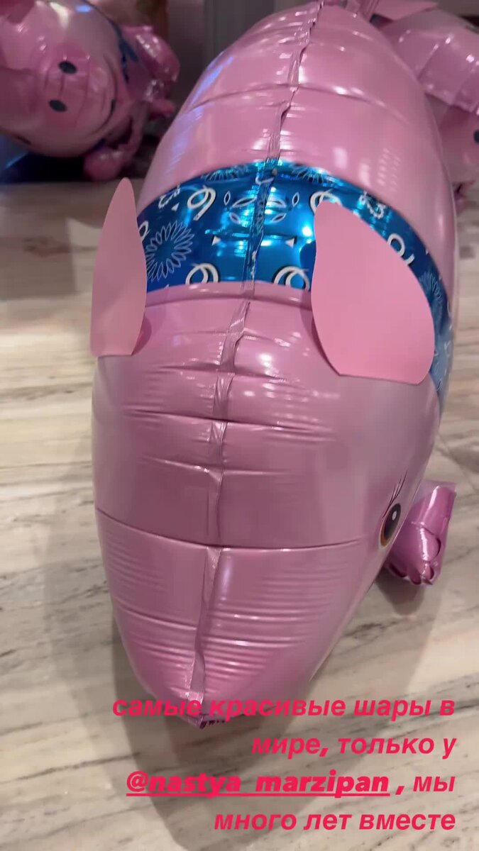    Видео: Инстаграм (запрещен в РФ) Ксении Бородиной