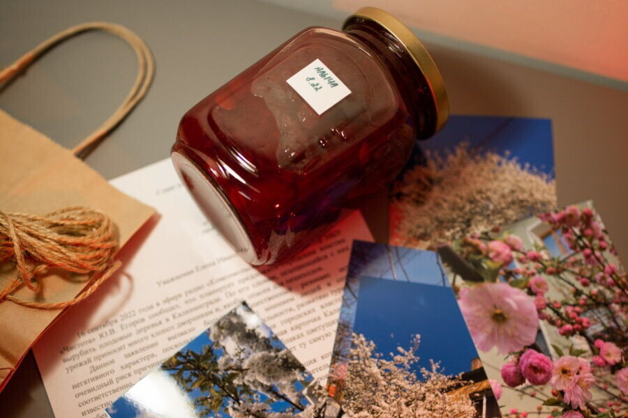 Фото предоставлено героем публикации