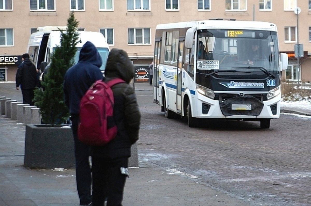 Опубликованы новые цены на проезд в пригородных и междугородних автобусах |  АиФ Карелия | Дзен