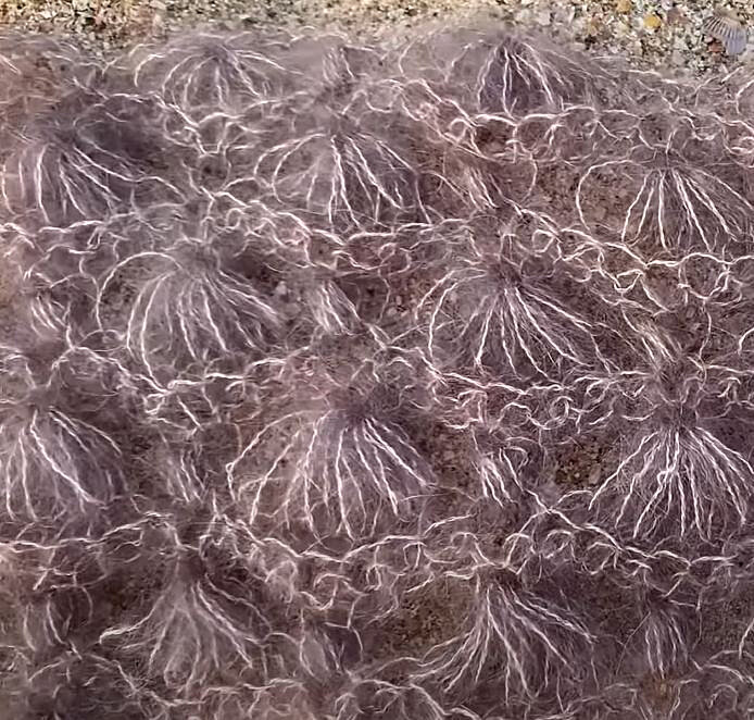    Узоры для мохера   
Источник: Скриншот из видео