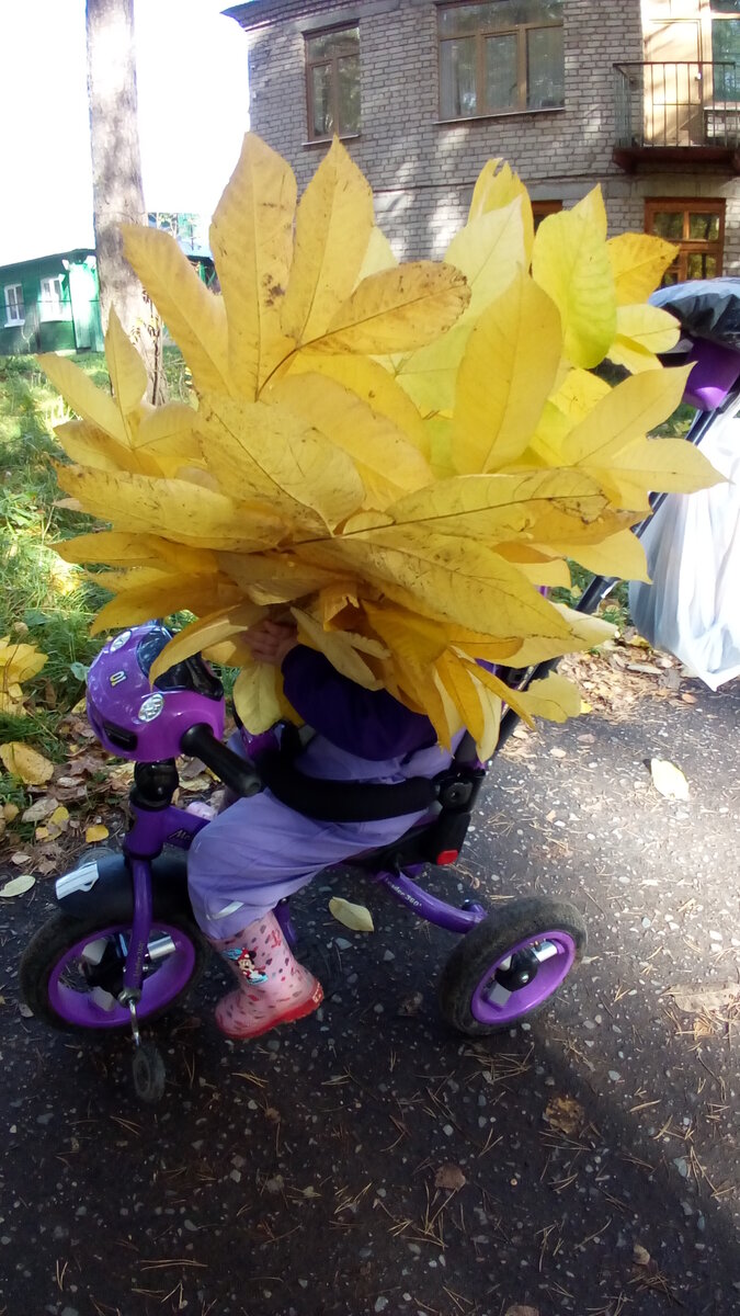 Букет из листьев грецкого ореха 2018г