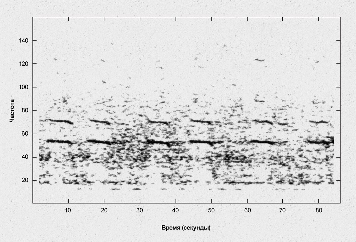 Частота 52 Герца. 52 Частота график. Песнь одиноких китов на частоте 52 Гц. Кит 52гц.