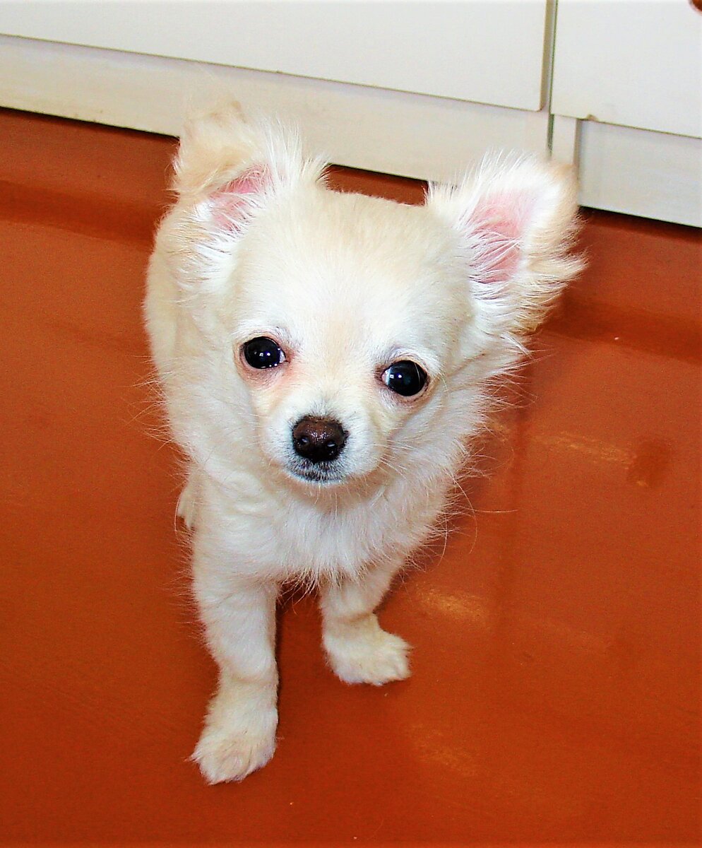 Проше 2 месяца