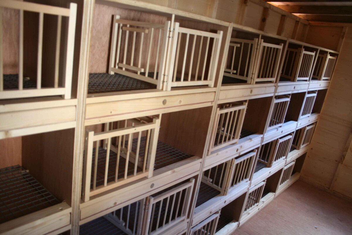 Фото с сайта i.pinimg.com