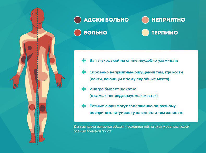 Карта распределения болевых участков для нанесения тату