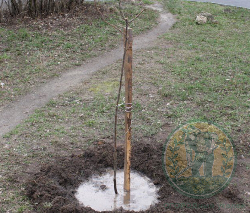 Помогла статья? Расскажи об этом в комментариях!)