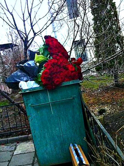 Букет в мусорке фото A Bouquet of Old Red Roses in a Black Rubbish Bin Stock Photo - Image of nature,