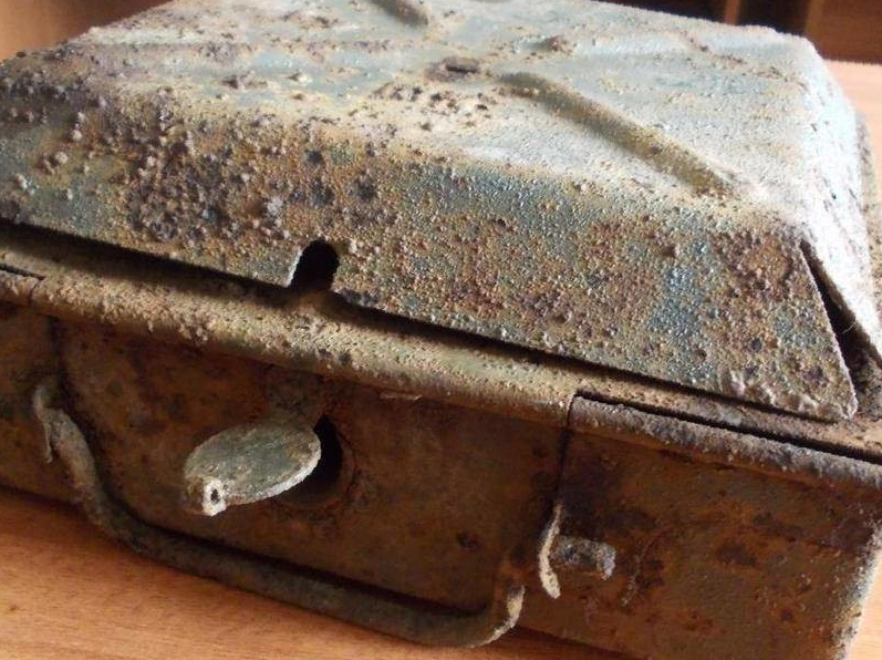 Фото в тот день я не додумался сделать, вот со свободного доступа взял показать Вам как примерно выглядела находка.