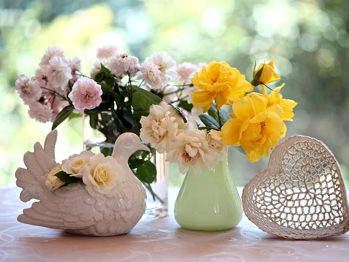 Мечтаю научиться фотографировать цветы так!