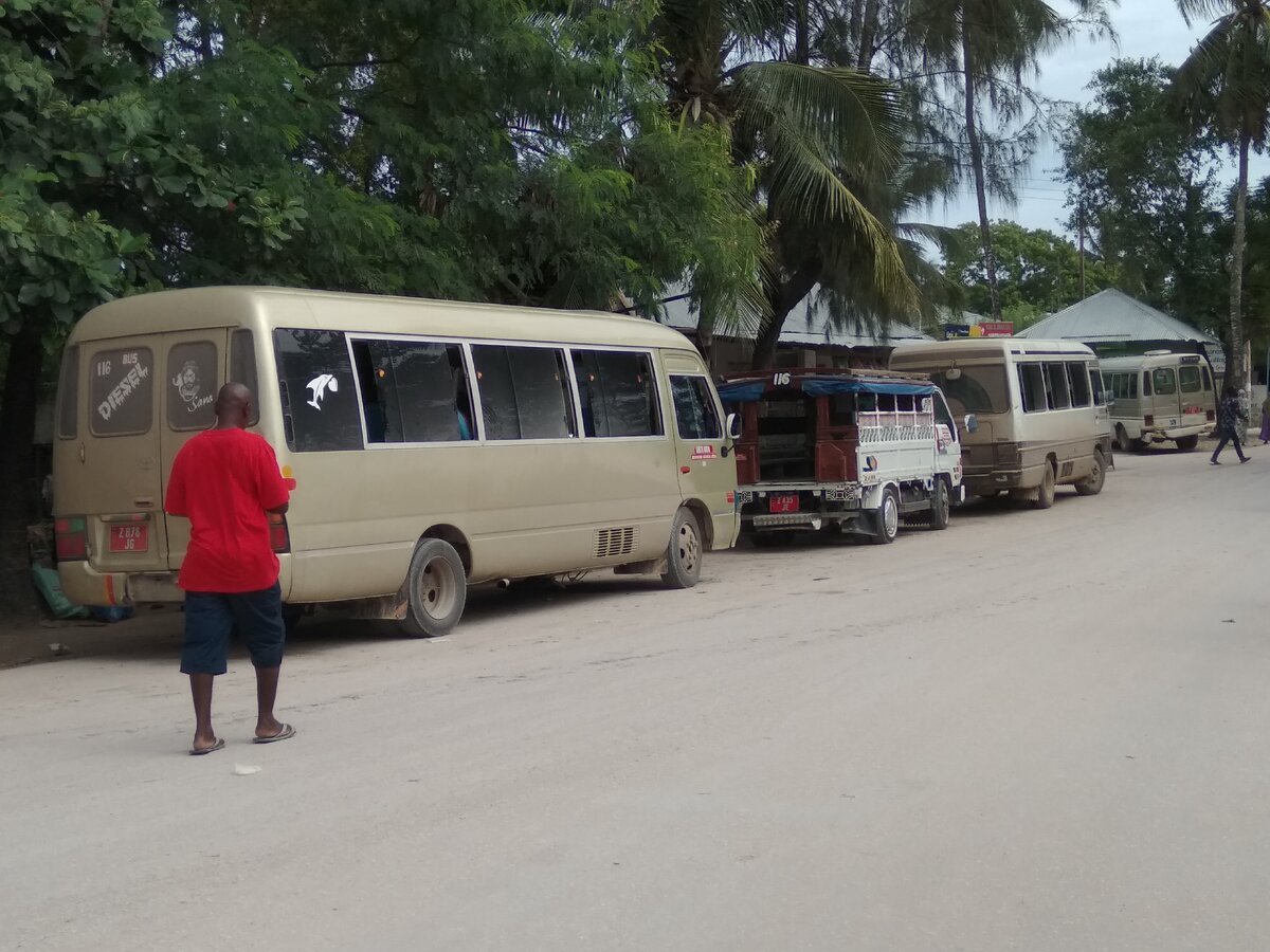 Занзибарские автобусы и маршрутка Дала-дала между ними