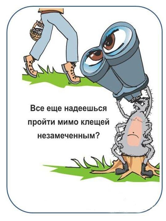 Не знаешь даже где ты подхватшь этого кровесосущего попутчика. Фото: oxotnik.ru