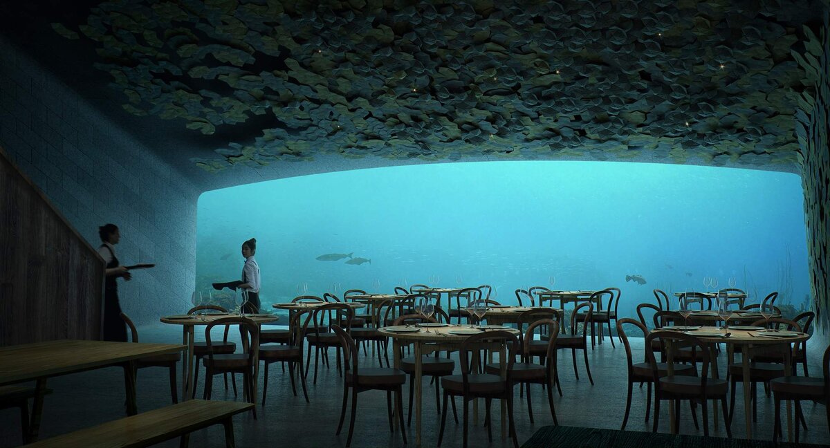    Недавно произошло знаковое событие для всего кулинарного мира – открылся уникальный по своей концепции подводный ресторан Under!