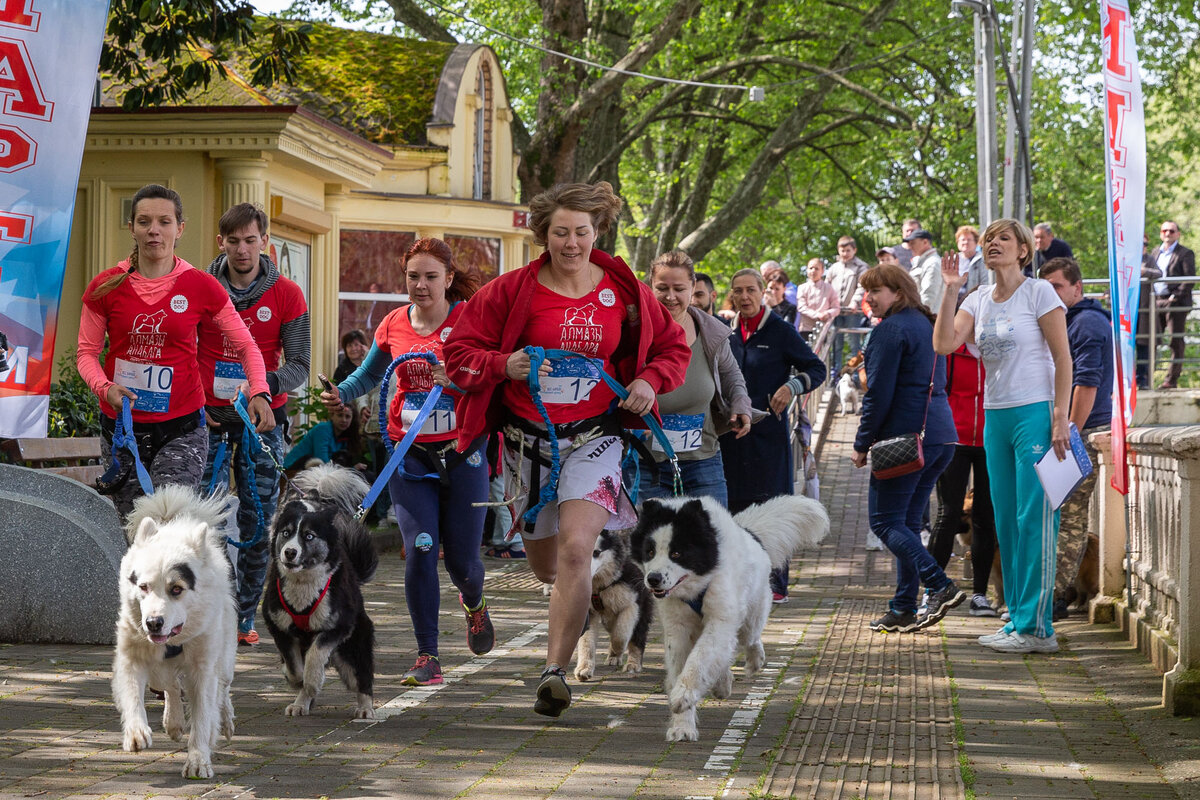 фото с сайта “Кубань 24”