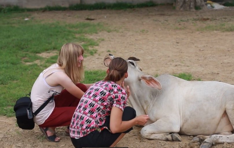 Кадр из последнего видео