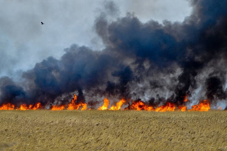 Степной пожар под Жезказганом. Фото с сайта Informburo.kz