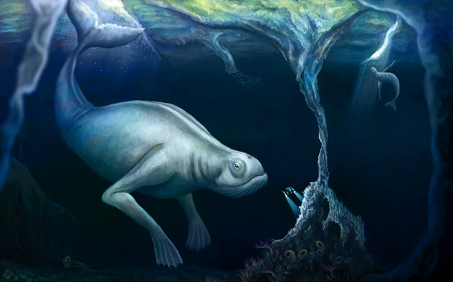 загадочные животные.