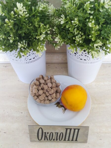 Перекус персиком и отрубями после плавания