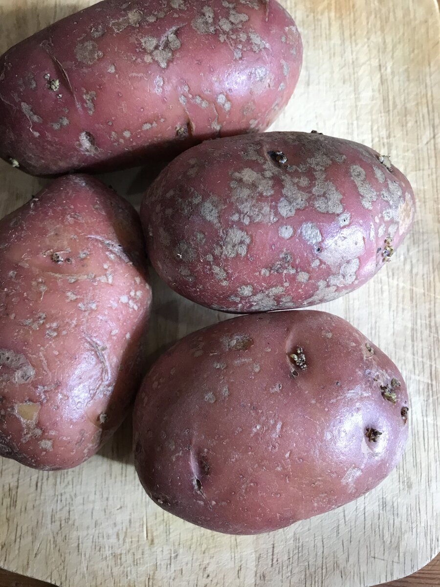 Прошлогодние остатки