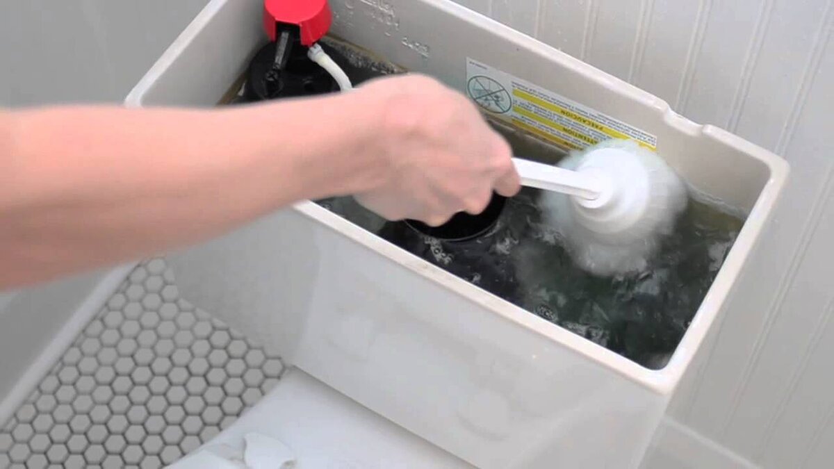 Изображение взято из открытых источников в интернете.