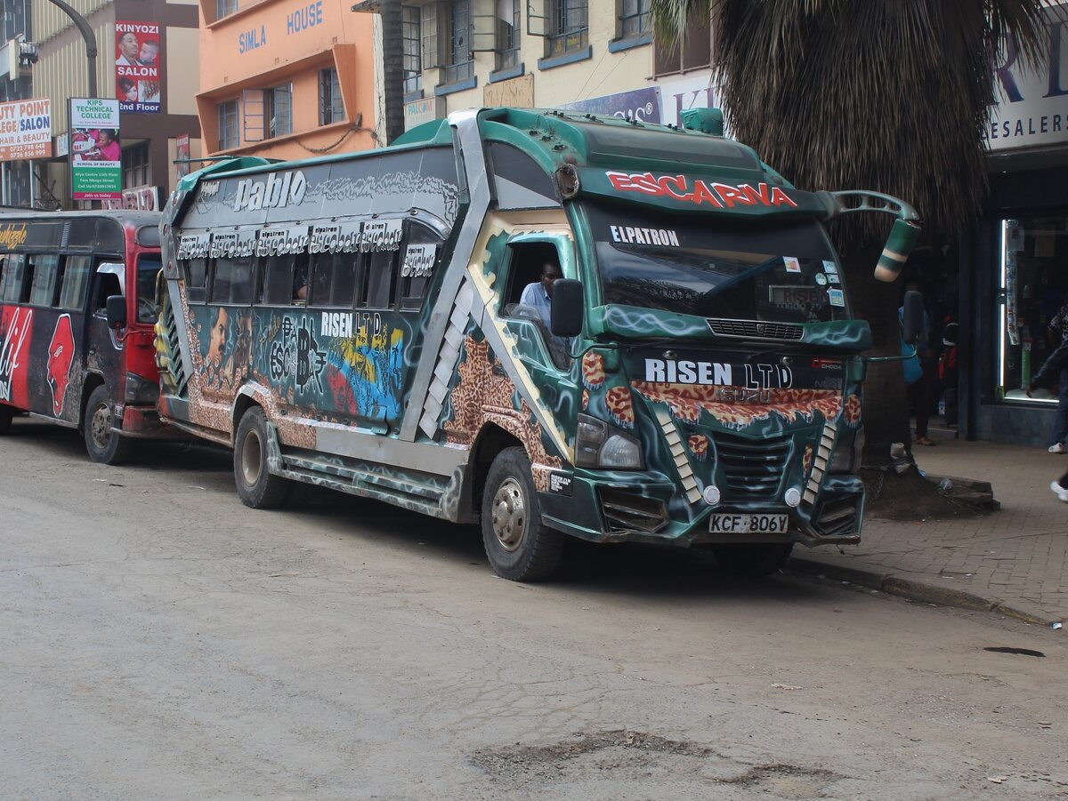 Матату в местном стиле (леопардовый окрас)