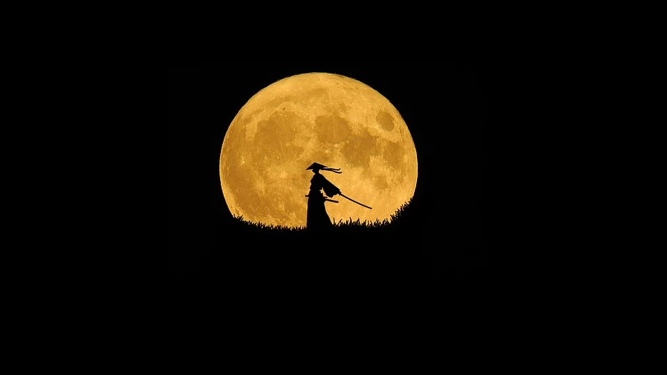 https://pixabay.com/ru/photos/%D1%81%D0%B0%D0%BC%D1%83%D1%80%D0%B0%D0%B9-%D1%81%D0%B8%D0%BB%D1%83%D1%8D%D1%82-%D0%B8%D1%81%D0%BA%D1%83%D1%81%D1%81%D1%82%D0%B2%D0%BE-2258604/