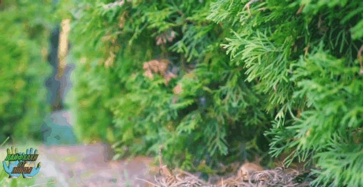 Из открытых источников