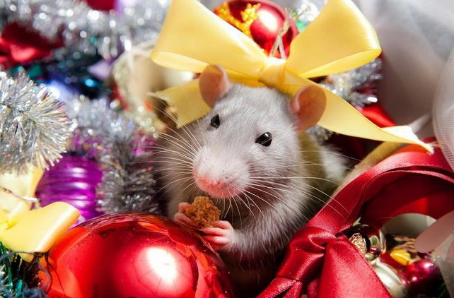 Фото взято из открытого источника