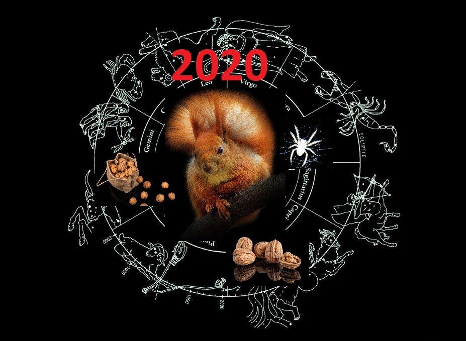 Яндекс картинки(фотоколлаж автора)