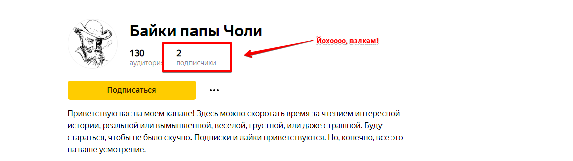 Мои подписчики