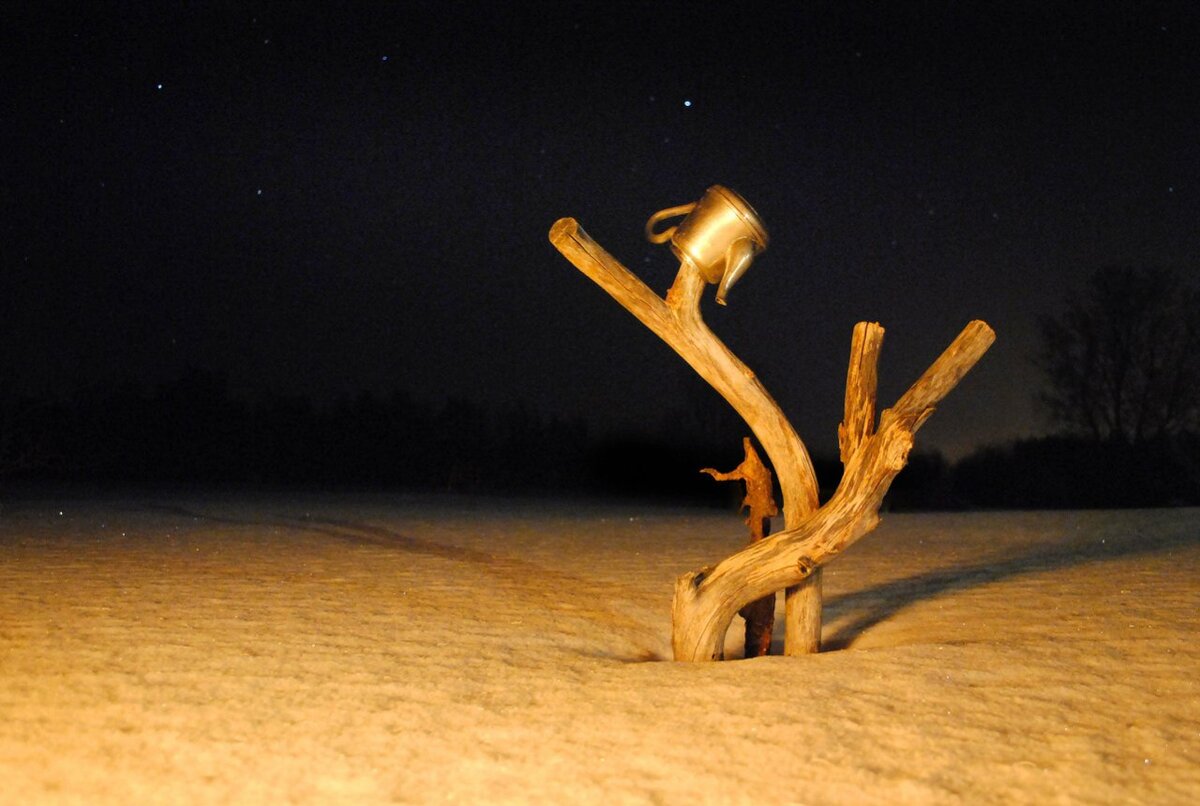 Фото Любочаниновой Анастасии.
