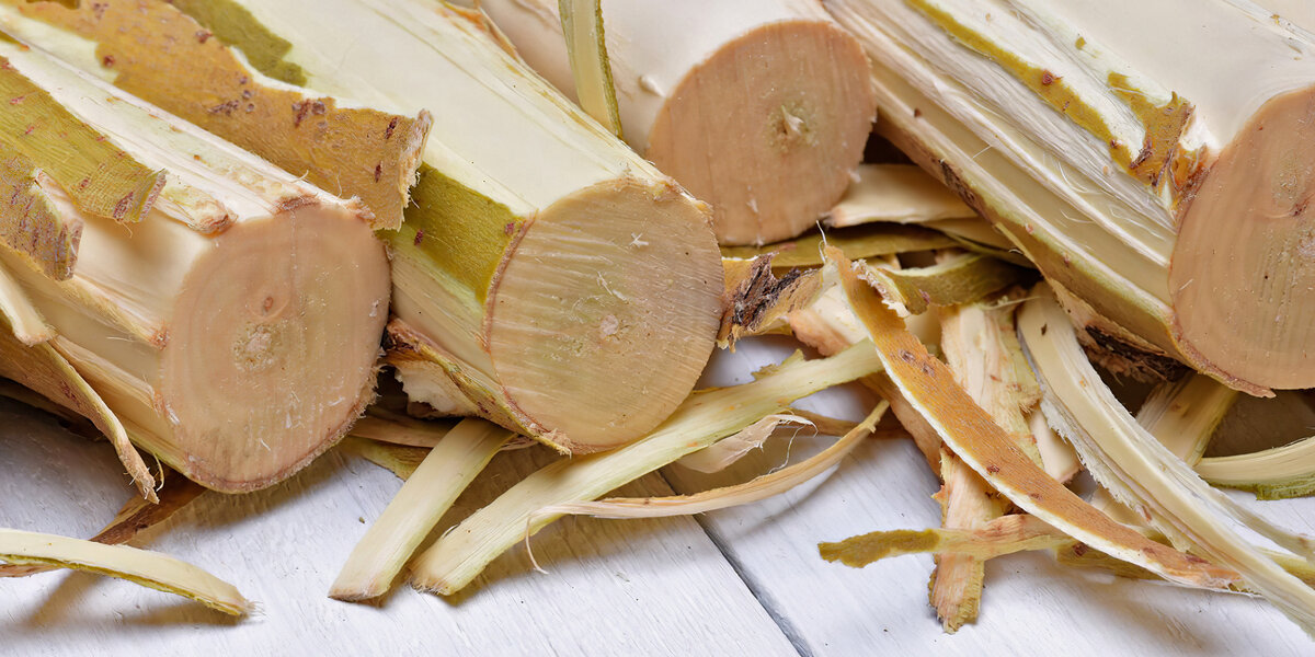 Источник фото: www.alamy.com