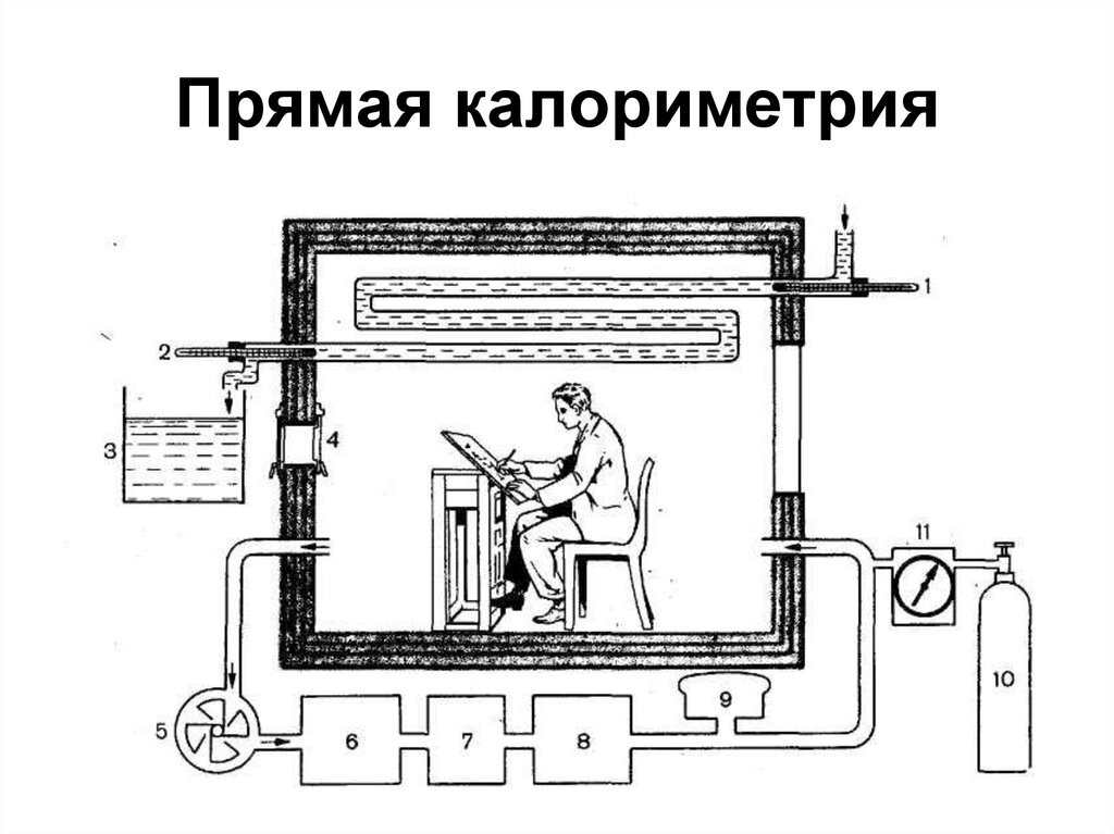 Измерение количественной характеристики метаболизма при помощи калориметра.
