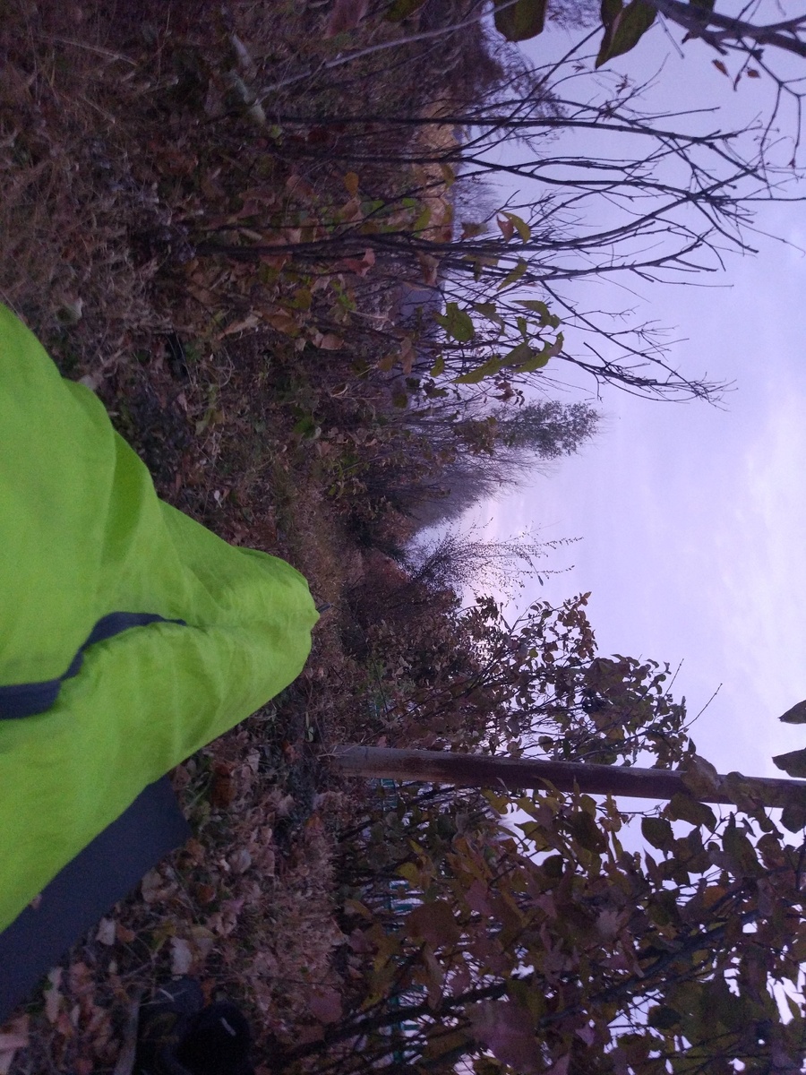 Лень переворачивать фото :(