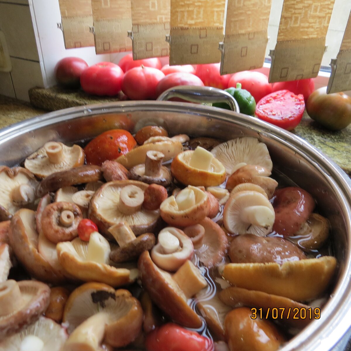 Нынче сыроежки были необыкновенно хороши!