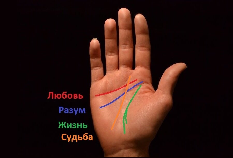 Гадаем по руке: самая простая инструкция по хиромантии для начинающих