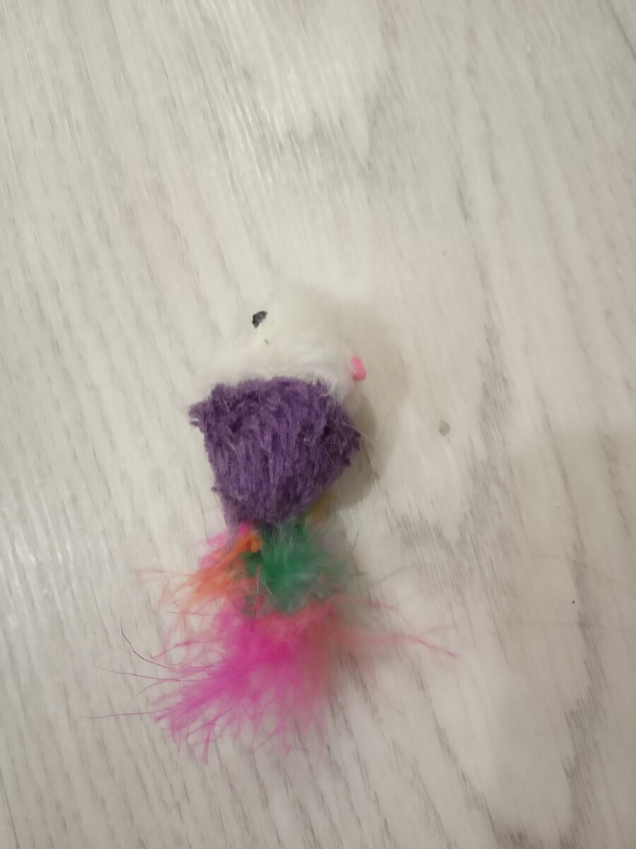 Мышка с АлиЭкспресс ещё с хвостом, но уже без носа