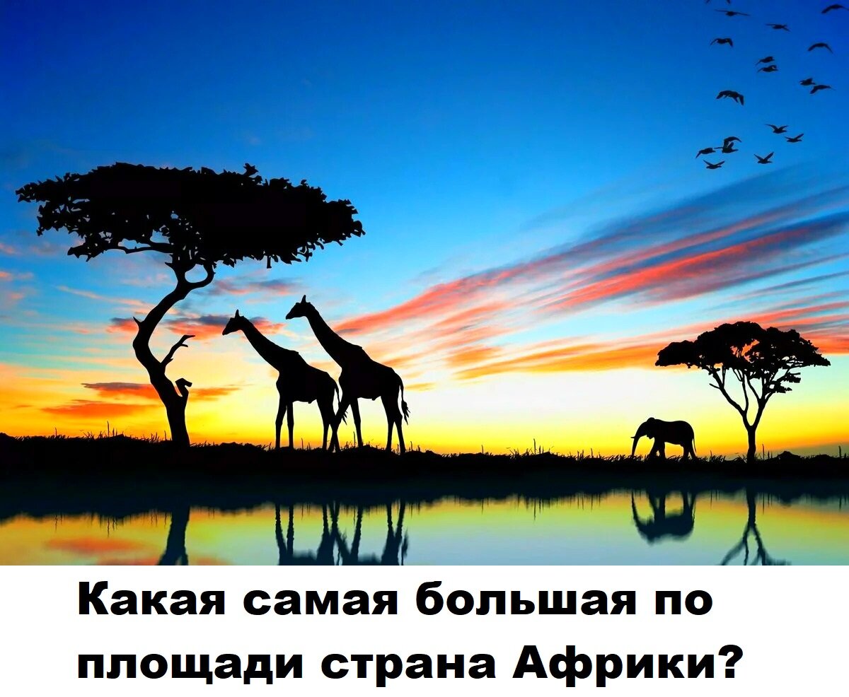 🌏Тест по географии: а вы сможете ответить на все 5 вопросов? | Мир тестов  | Дзен