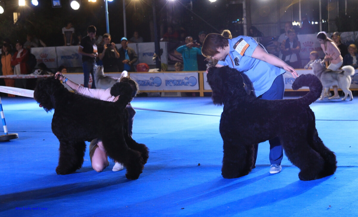 Фото из свободных источников