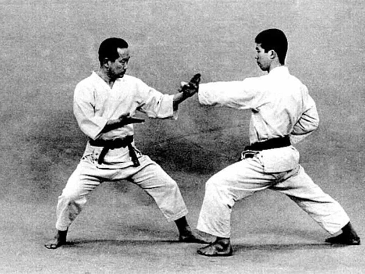 Kyokushin Fight