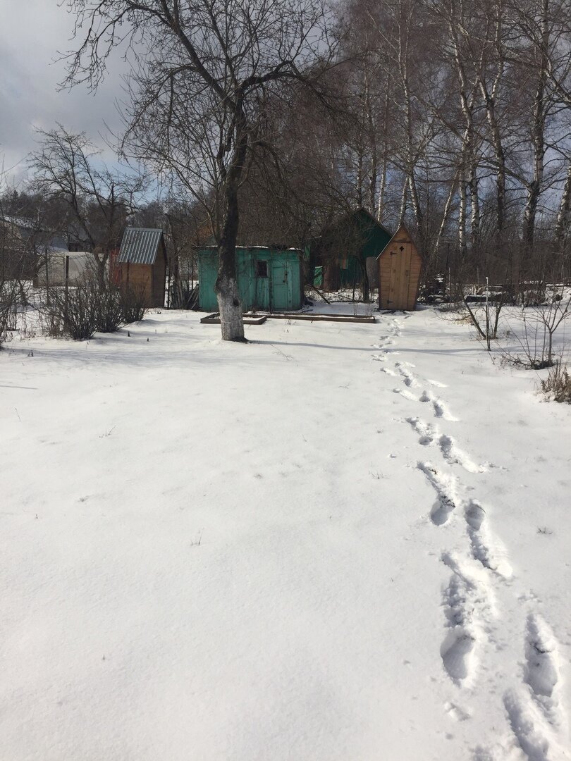 Зеленую сараюшку в планах сносить и строить новую