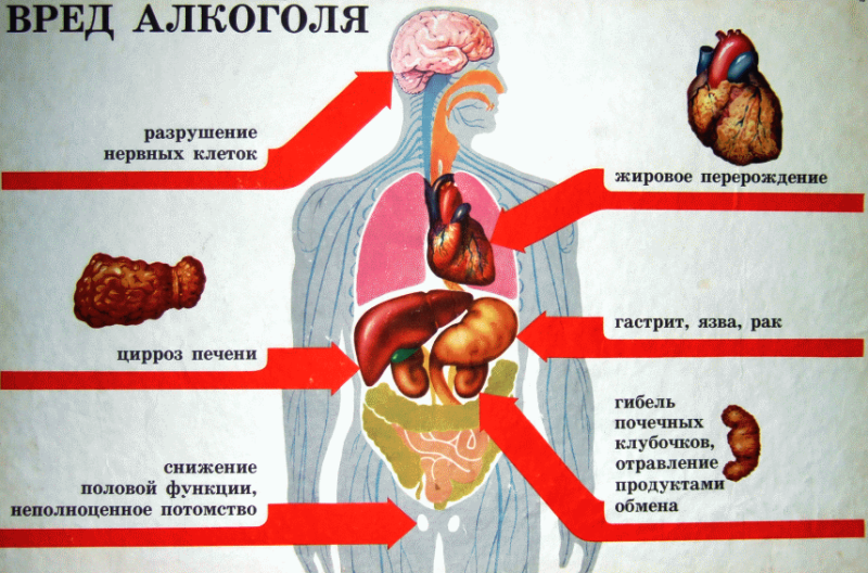 5 причин не пить алкоголь, если хочешь, чтобы мышцы росли.